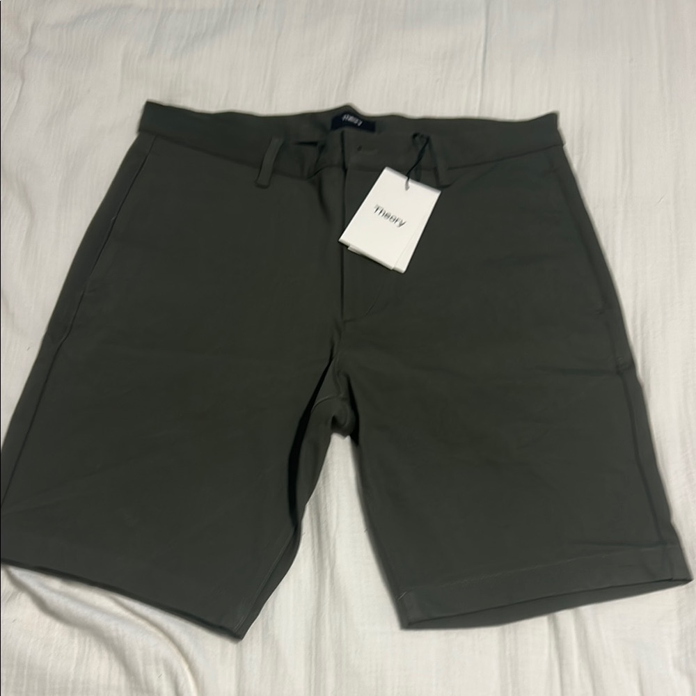 NWT Theory Men's Green Shorts